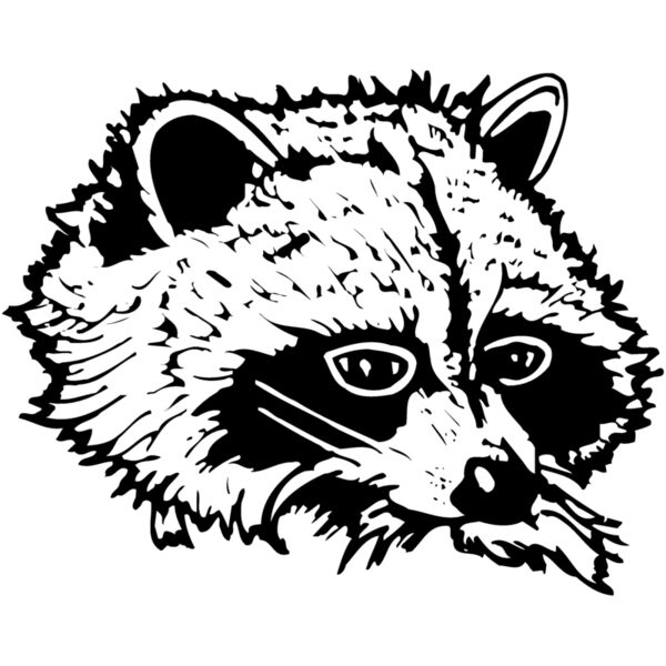 COON004 Thumbnail