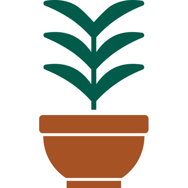 Plant 2 Thumbnail