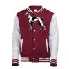 Varsity jacket Thumbnail