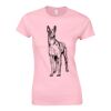 Softstyle™ women's ringspun t-shirt Thumbnail